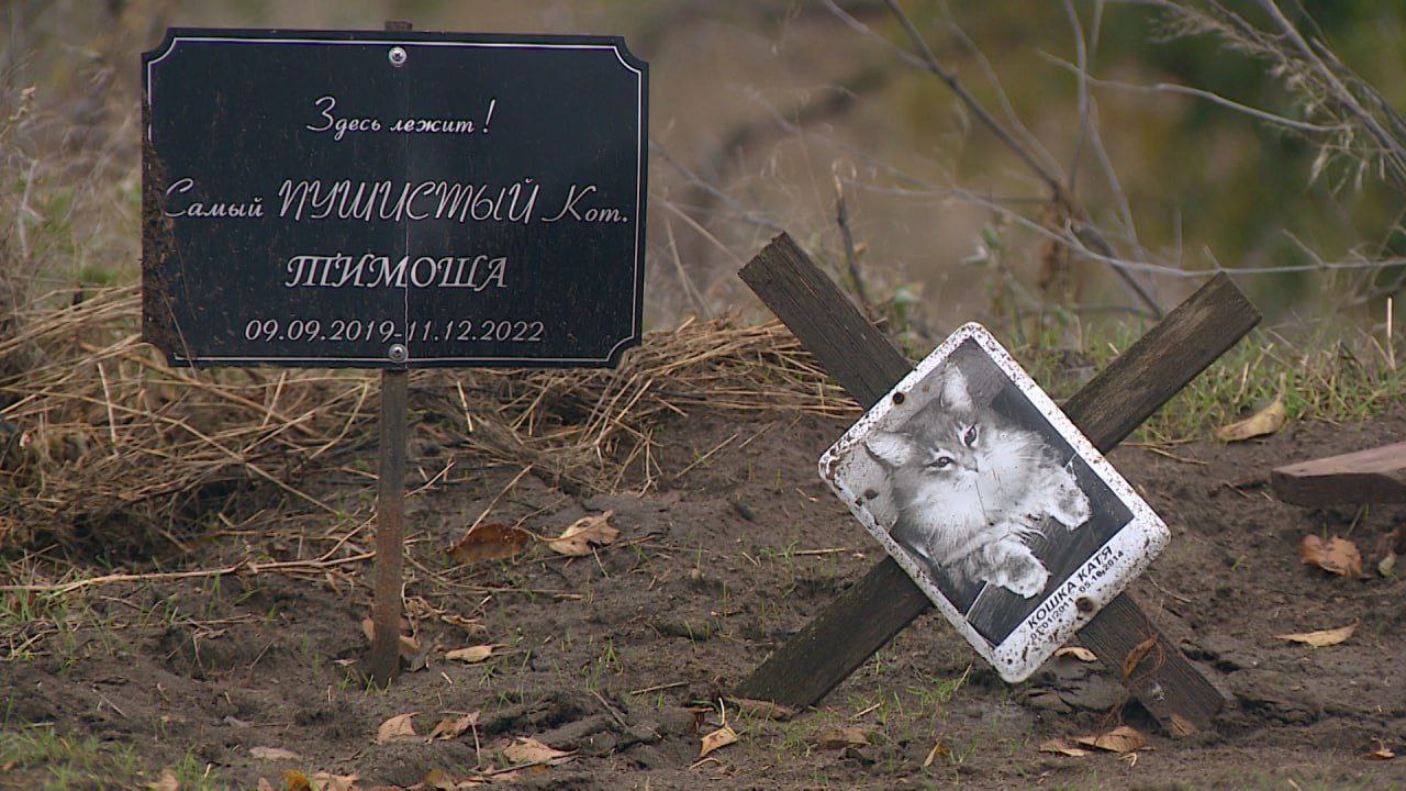 В Волгограде активно обсуждают историю с ликвидацией кладбища домашних животных на Спартановке В Волгограде активно обсуждают историю с ликвидацией кладбища домашних животных на Спартановке