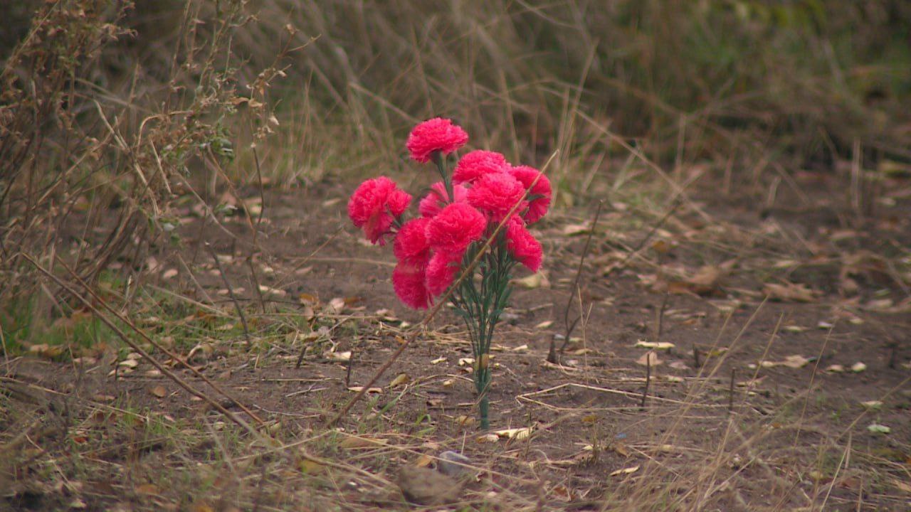 В Волгограде активно обсуждают историю с ликвидацией кладбища домашних животных на Спартановке В Волгограде активно обсуждают историю с ликвидацией кладбища домашних животных на Спартановке