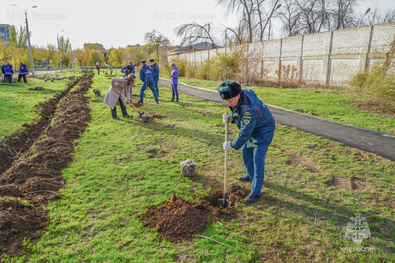 В Волжском сотрудники МЧС России высадили аллею тополей В Волжском сотрудники МЧС России высадили аллею тополей