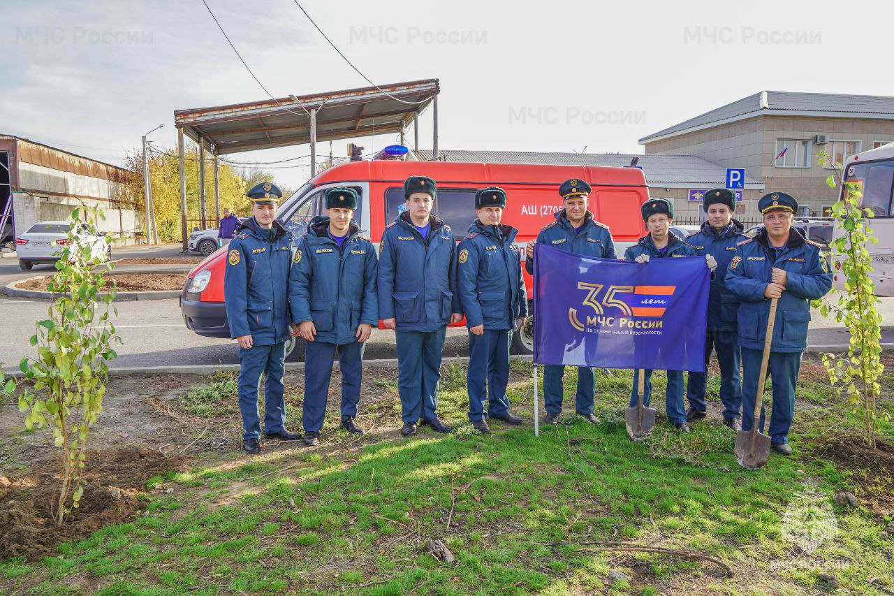 В Волжском сотрудники МЧС России высадили аллею тополей