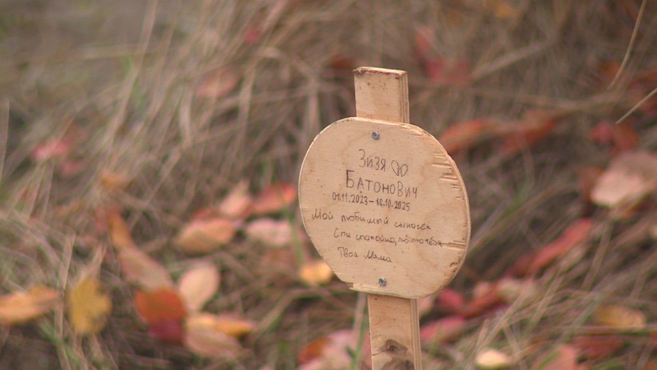 В Волгограде активно обсуждают историю с ликвидацией кладбища домашних животных на Спартановке В Волгограде активно обсуждают историю с ликвидацией кладбища домашних животных на Спартановке