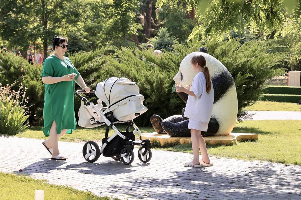 81% волгоградцев хотят привлекать бабушек к воспитанию внуков