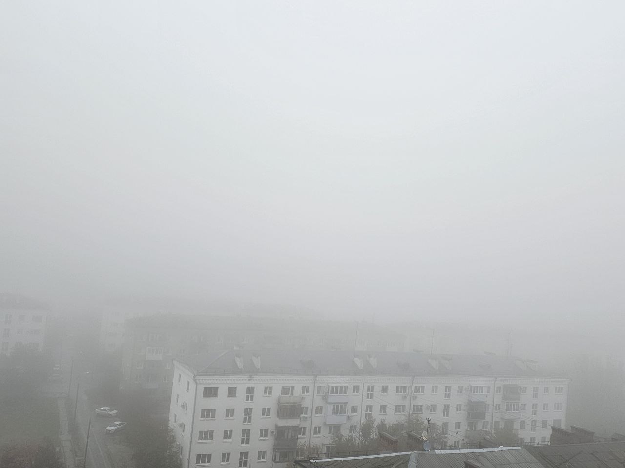 Густой туман и смог из выхлопов накрыл Волгоград Густой туман и смог из выхлопов накрыл Волгоград