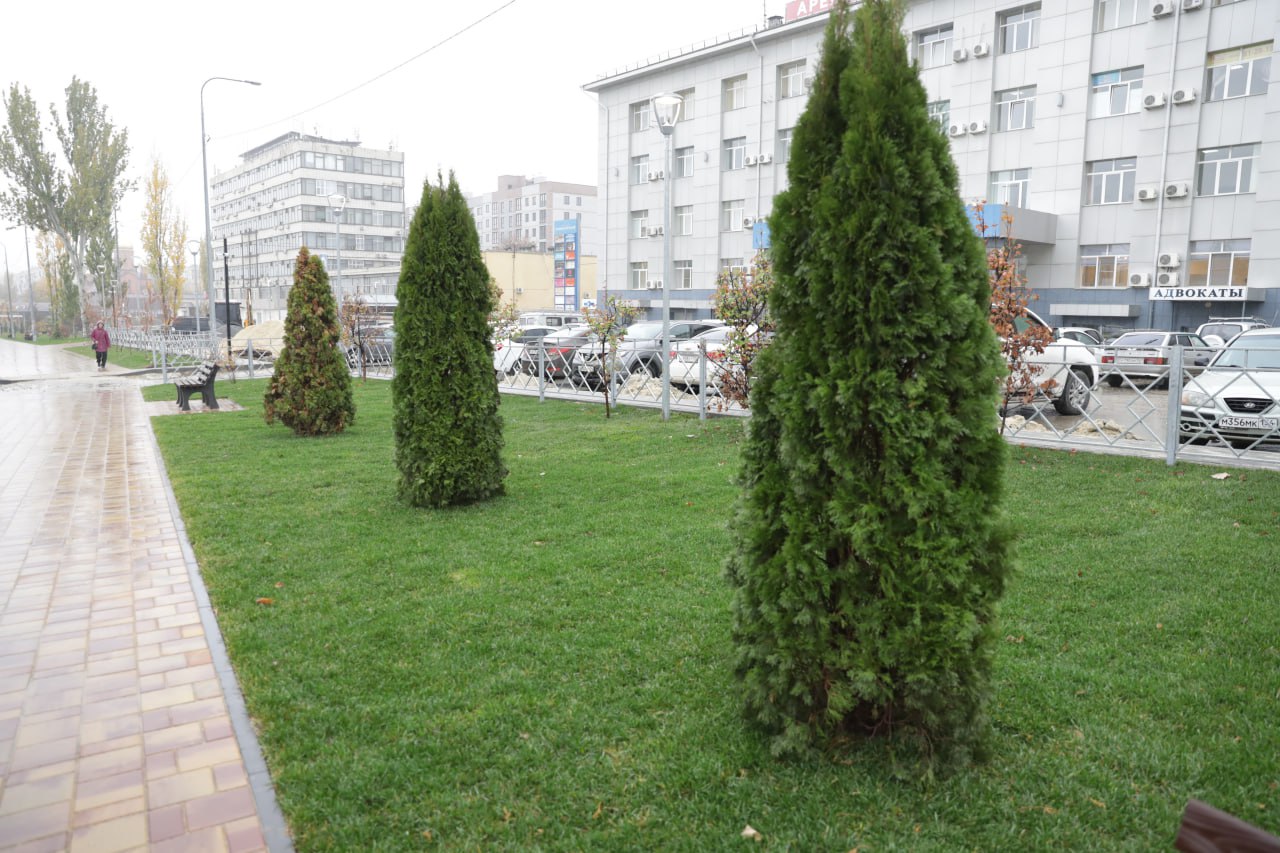 Пешеходная зона, островки для отдыха, малые архитектурные формы, зеленые насаждения и удобные спуски для маломобильных граждан - благоустройство общественной территории, прилегающей к ЗАГСу Советского района Волгограда... Пешеходная зона, островки для отдыха, малые архитектурные формы, зеленые насаждения и удобные спуски для маломобильных граждан - благоустройство общественной территории, прилегающей к ЗАГСу Советского района Волгограда...