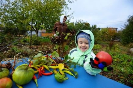 В Волжском отменят дачные автобусы