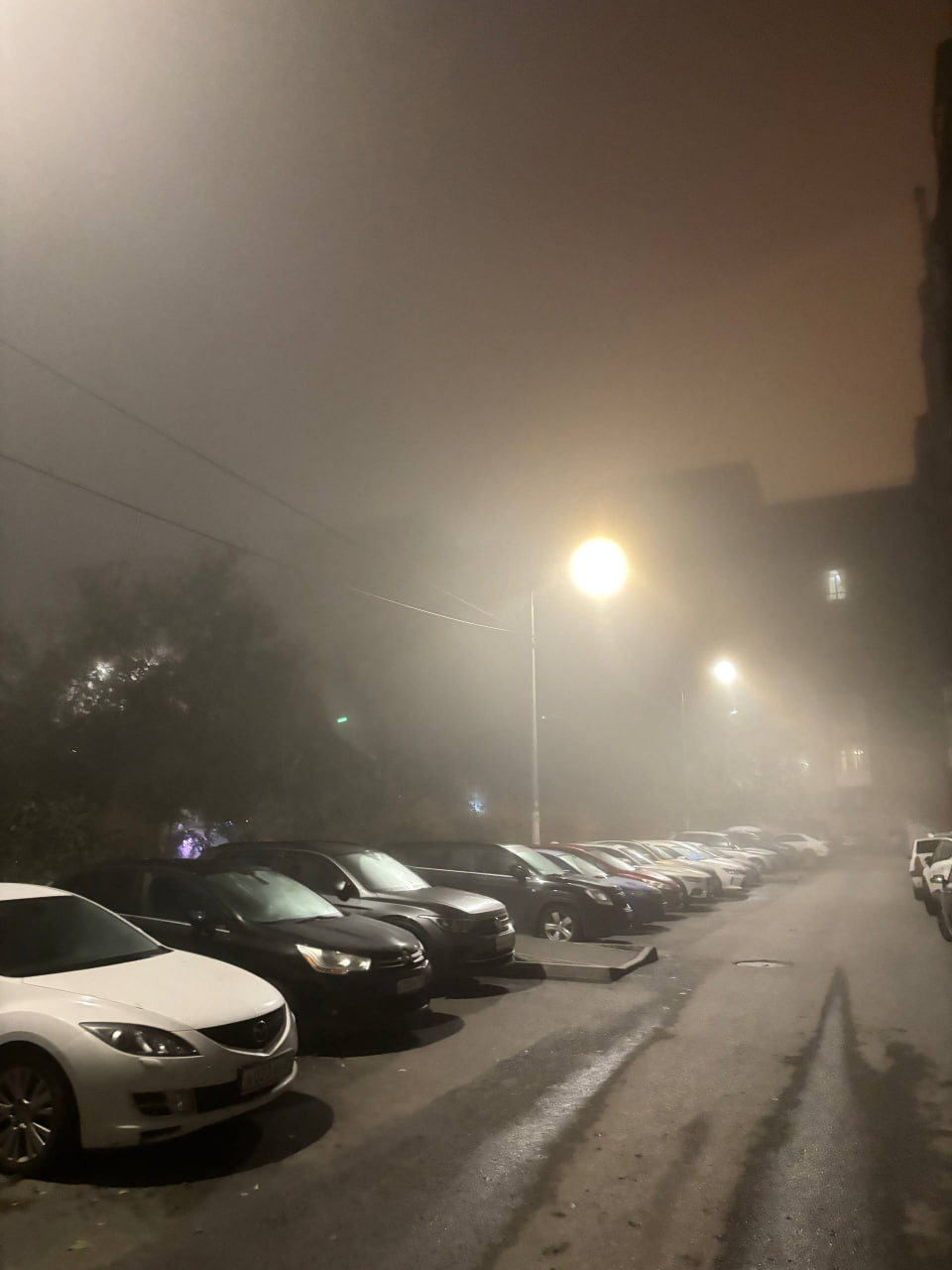 Густой туман и смог из выхлопов накрыл Волгоград