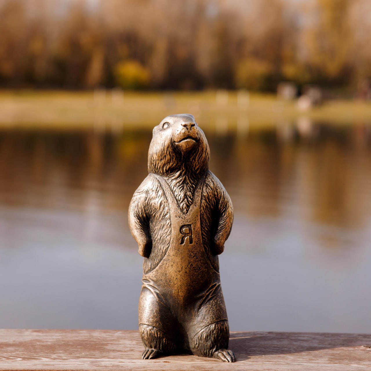 Продолжаем серию постов о сусликах из Красноярска Продолжаем серию постов о сусликах из Красноярска