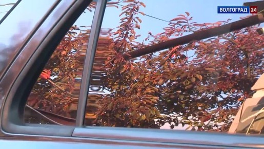 Жена бойца СВО из Волгограда лично доставляет гуманитарные грузы на передовую