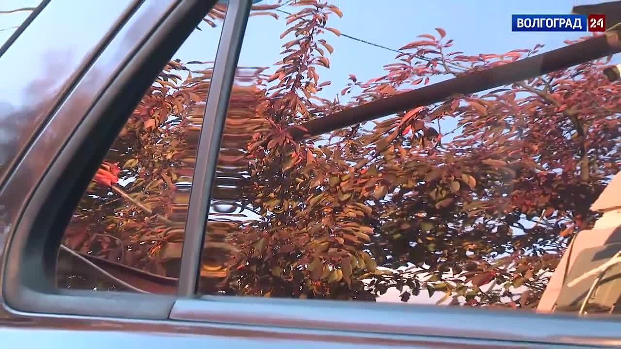 Жена бойца СВО из Волгограда лично доставляет гуманитарные грузы на передовую