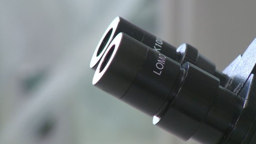 Почти 7 миллиардов рублей за год потратила Волгоградская область на науку и разработки