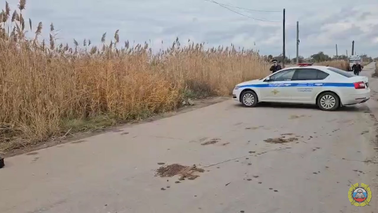 Фото и видео с места ДТП в Красноармейском районе 30 октября 2025 года Фото и видео с места ДТП в Красноармейском районе 30 октября 2025 года