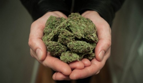 В Волгограде местный житель лишился свободы за незаконный оборот наркотических средств