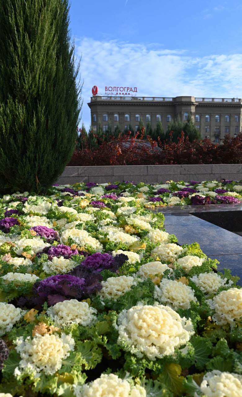 В Волгограде снимут желтый уровень погодной опасности на выходные В Волгограде снимут желтый уровень погодной опасности на выходные