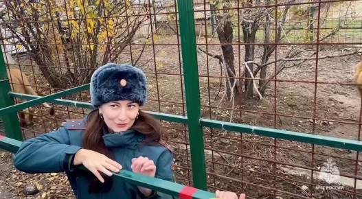 Смотри наш и ставь реакции