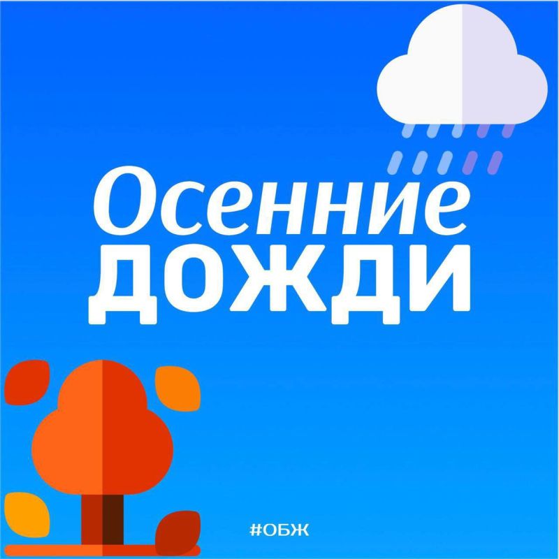 Осенние дожди. Дождь осенью явление вполне обычное