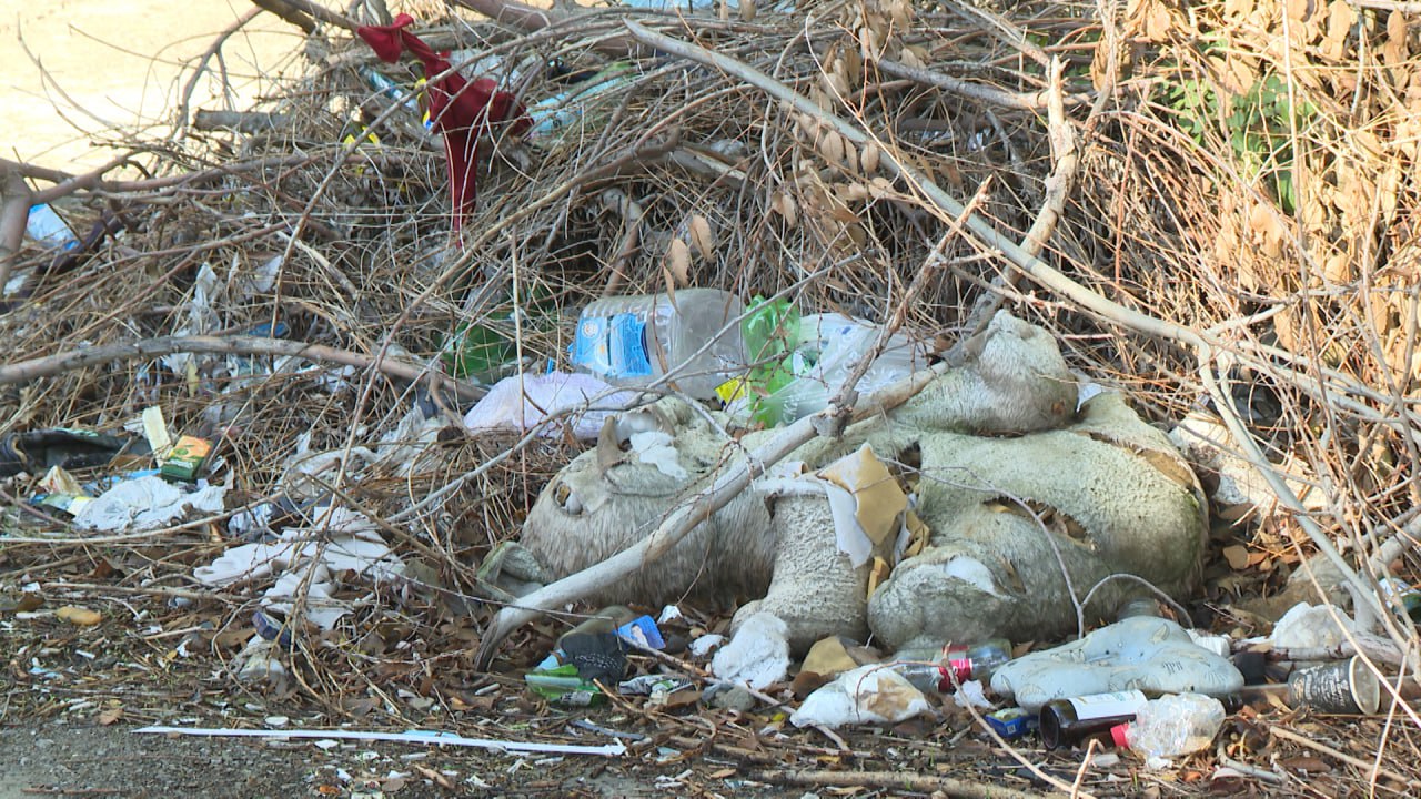 Жители двух девятиэтажек в Красноармейском районе Волгограда остались без тепла перед зимой Жители двух девятиэтажек в Красноармейском районе Волгограда остались без тепла перед зимой