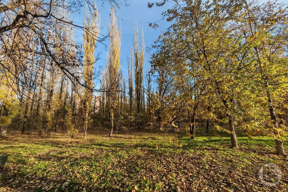 Короткая рабочая неделя порадует волгоградцев теплом до +14