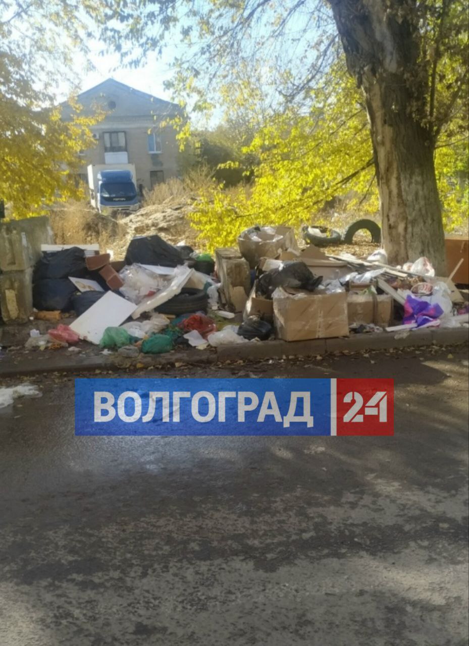 Жители Тракторозаводского района Волгограда жалуются на мусор во дворе Жители Тракторозаводского района Волгограда жалуются на мусор во дворе