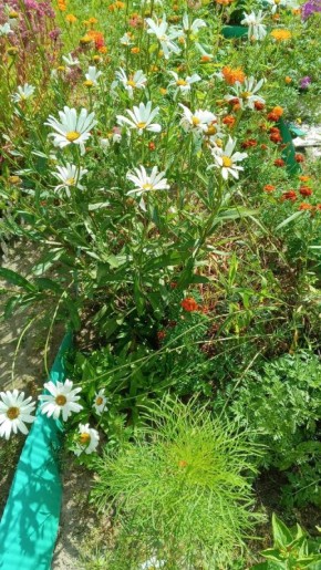 На пути к облегчению: опыт борьбы с пяточной шпорой