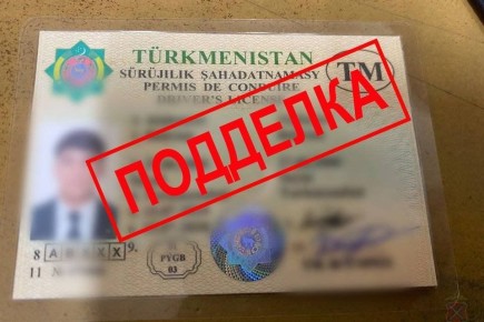 Юный волгоградец пытался обмануть полицию поддельными правами