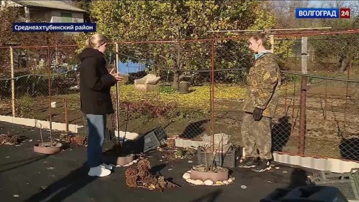 С сегодняшнего дня дачные автобусы прекратили работу в Волгограде и ушли на зимовку