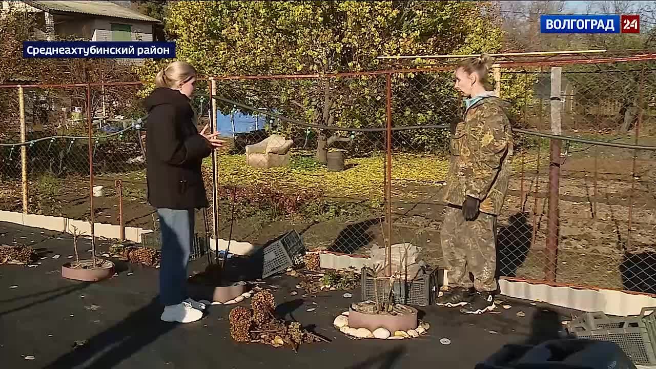 С сегодняшнего дня дачные автобусы прекратили работу в Волгограде и ушли на зимовку