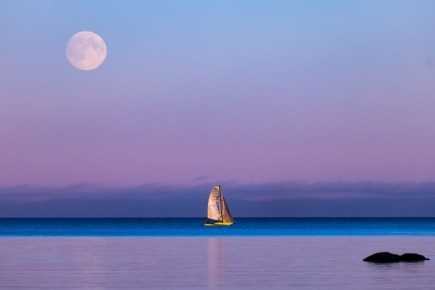 Бобровую Луну наблюдают жители России прямо сейчас