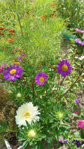 Как сохранить душевный покой: секреты борьбы с токсичными людьми в жизни пенсионера