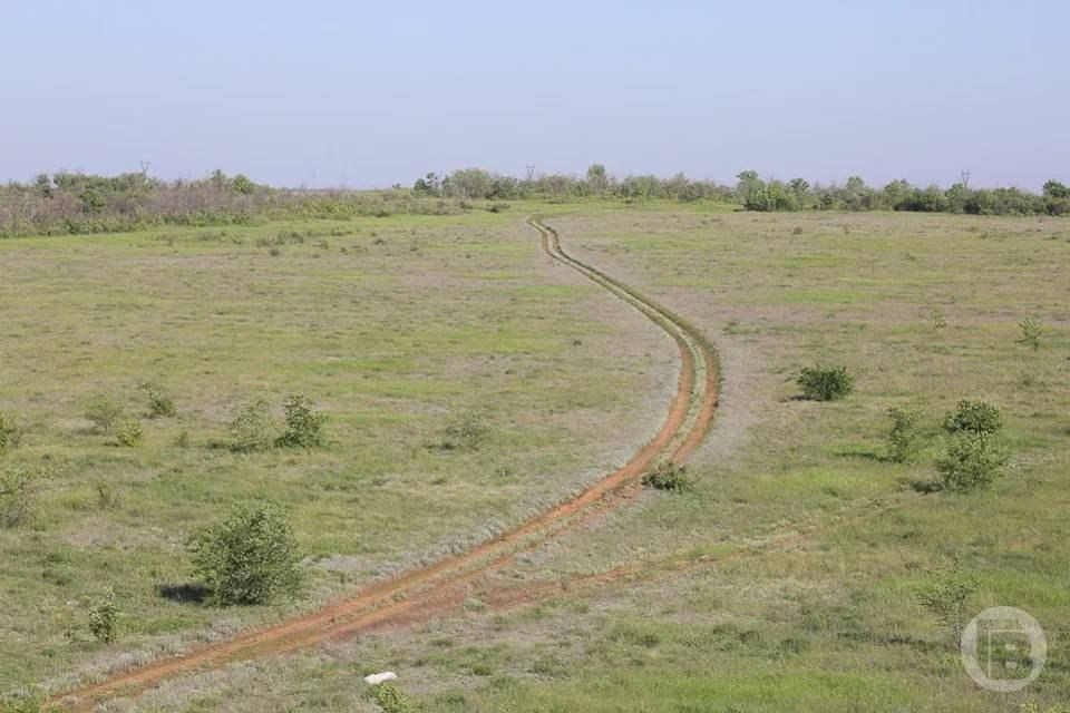 Под Волгоградом на 6 месяцев посадили браконьера за убийство косули