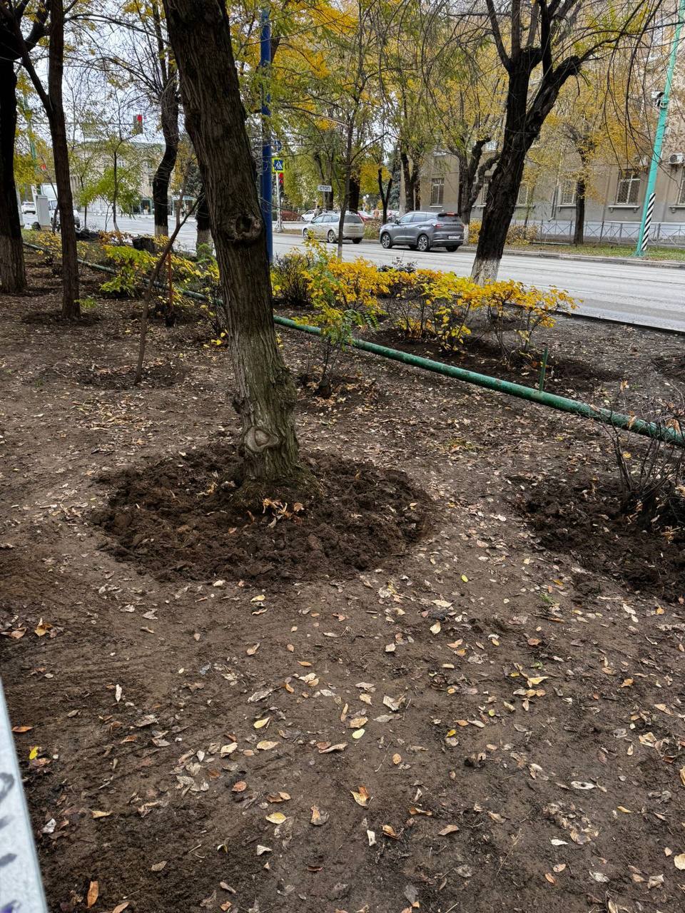 Работа кипит!. Сотрудники МКП «Тепловые сети» не остались в стороне от осеннего месячника по благоустройству и провели субботник на пр. Ленина. Теперь у домов 22 и 24 стало чище и аккуратнее Работа кипит!. Сотрудники МКП «Тепловые сети» не остались в стороне от осеннего месячника по благоустройству и провели субботник на пр. Ленина. Теперь у домов 22 и 24 стало чище и аккуратнее