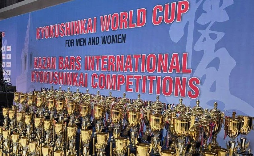Волгоградка завоевала бронзовую медаль на Кубке мира по киокусинкай-каратэ Волгоградка завоевала бронзовую медаль на Кубке мира по киокусинкай-каратэ
