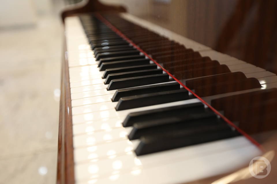 Определены номинанты на коллективные стипендии Волгоградской гордумы на 2026 год Определены номинанты на коллективные стипендии Волгоградской гордумы на 2026 год