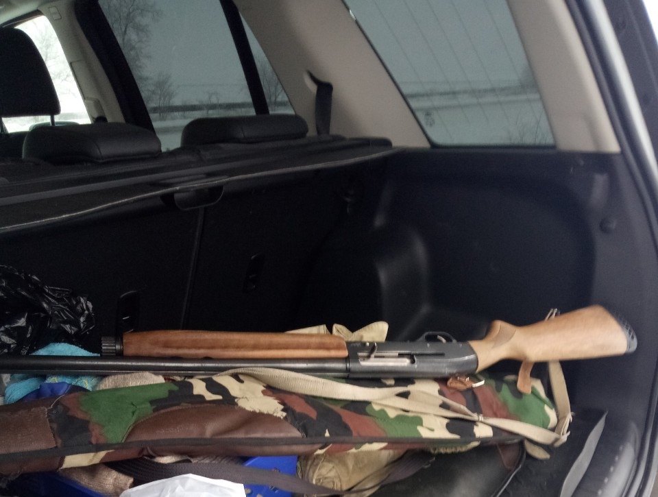 В Волгоградской области браконьера привлекли к уголовной ответственности за убийство косули