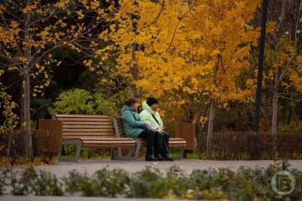 Какой будет погода в Волгоградской области 8 ноября, сообщили синоптики