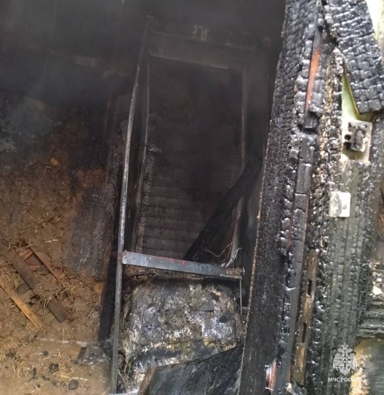 Охладили до поджара. 6 ноября в городе Урюпинск Волгоградской области огонь охватил летнюю кухню на 20 квадратах Охладили до поджара. 6 ноября в городе Урюпинск Волгоградской области огонь охватил летнюю кухню на 20 квадратах