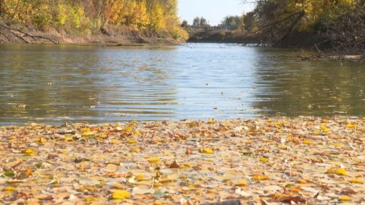 О погоде на выходных рассказали волгоградские синоптики
