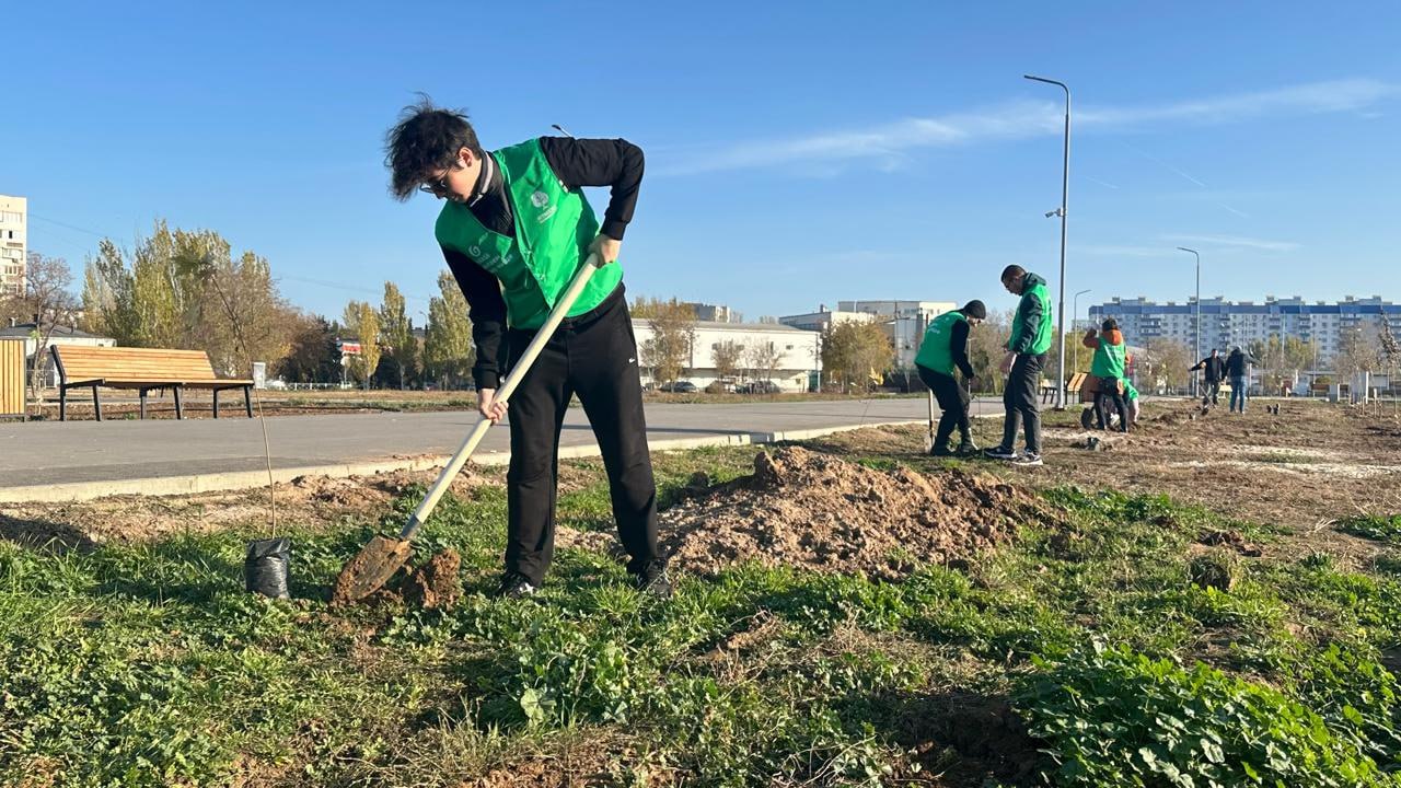 В парке «Волжский» стало на 100 кленов больше! В парке «Волжский» стало на 100 кленов больше!