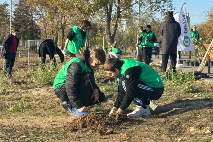 Парк Волжского украсили 100 саженцев клена