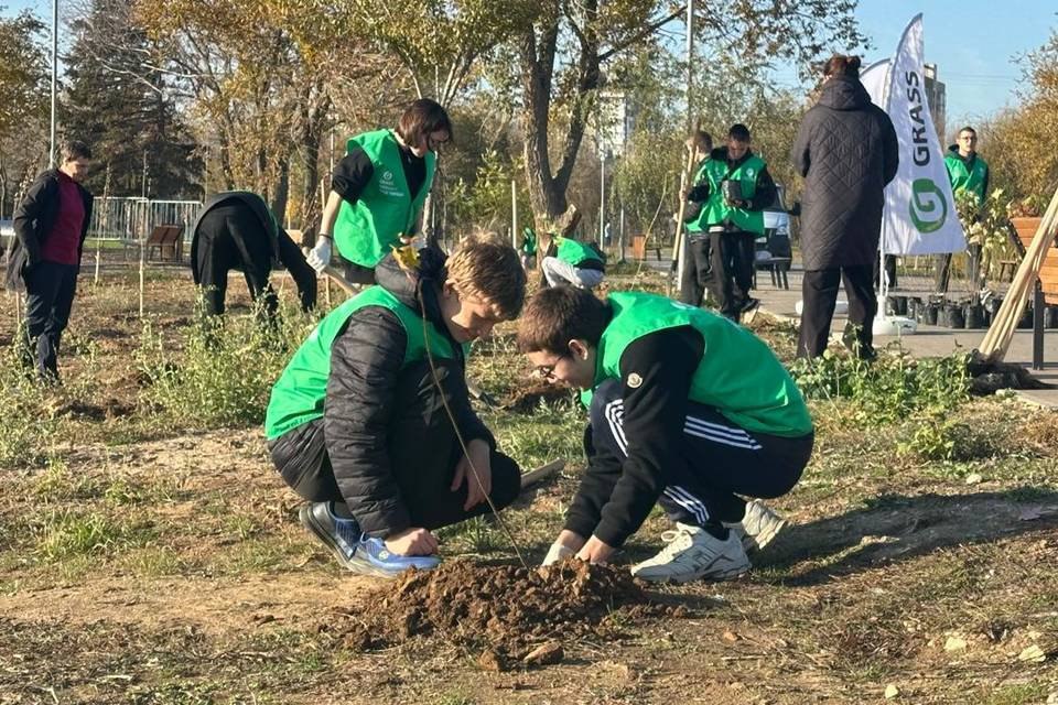 Парк Волжского украсили 100 саженцев клена