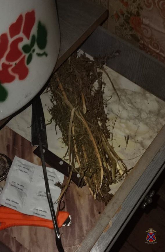 В Урюпинском районе полицейские задержали подозреваемого в незаконном хранении марихуаны и конопли В Урюпинском районе полицейские задержали подозреваемого в незаконном хранении марихуаны и конопли