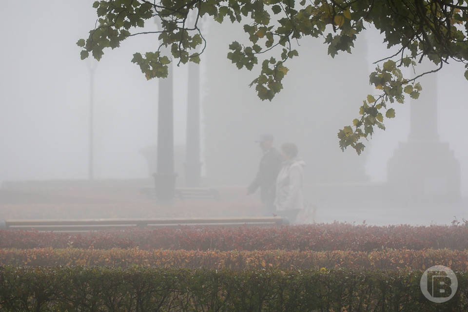 Волгоградцев предупредили о коварном тумане на дорогах