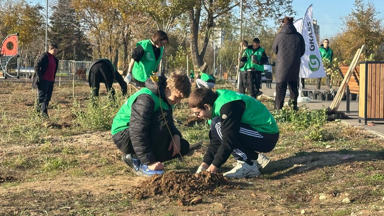 В парке «Волжский» стало на 100 кленов больше! В парке «Волжский» стало на 100 кленов больше!