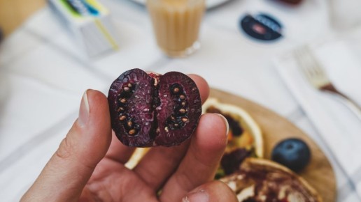 Обрезка листьев томатов: как увеличить урожай в два раза