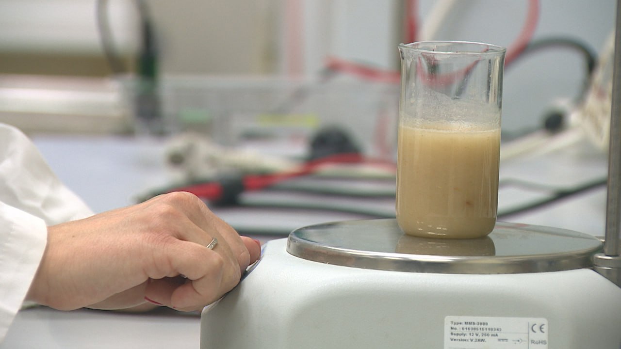 Уникальный напиток на основе растительного сырья с использованием пробиотиков разработала волгоградка Светлана Худякова Уникальный напиток на основе растительного сырья с использованием пробиотиков разработала волгоградка Светлана Худякова