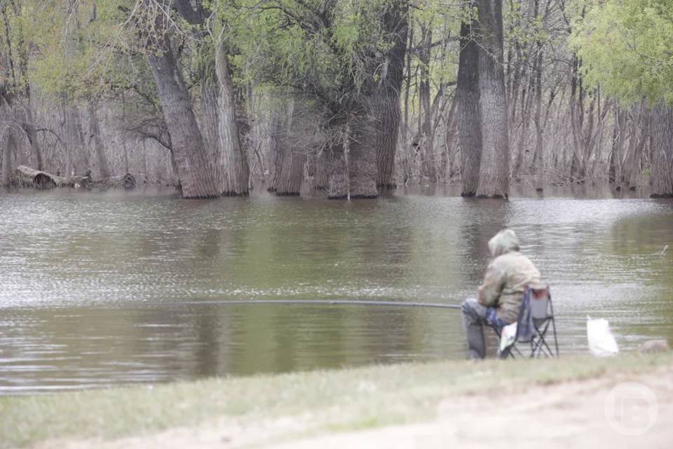 Студенты волгоградского колледжа проведут турнир по спортивной рыбалке
