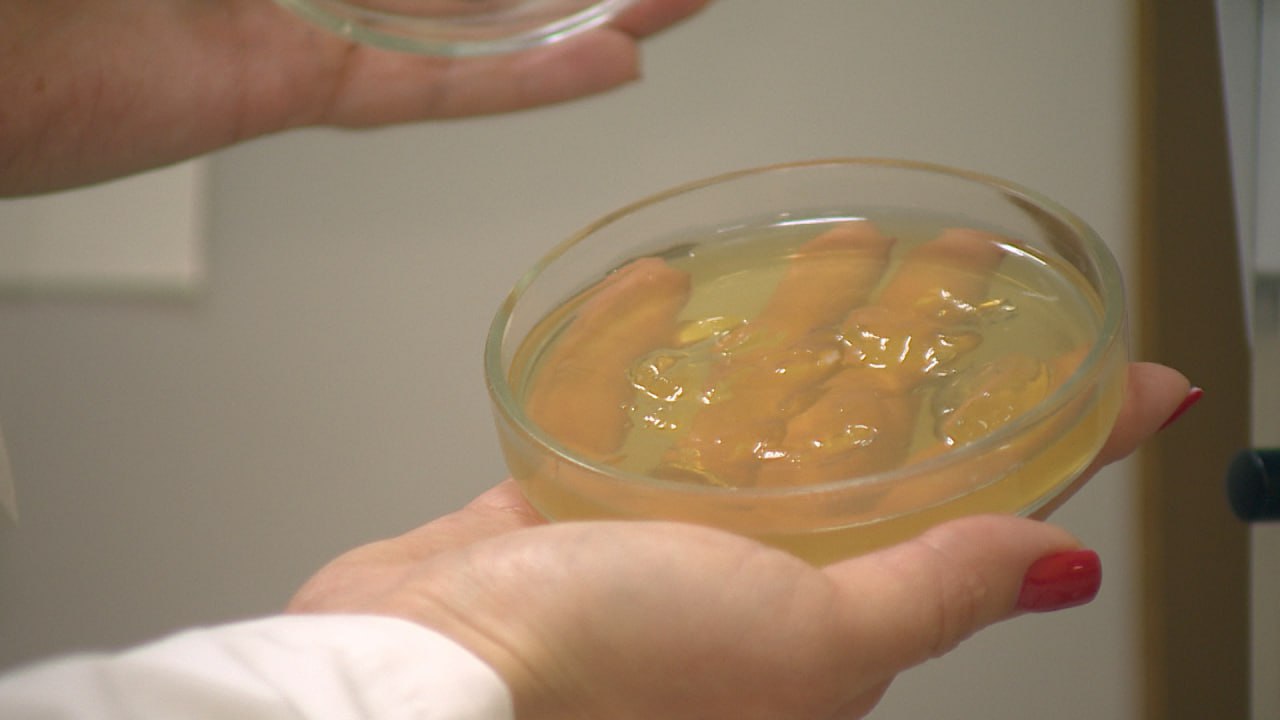 Уникальный напиток на основе растительного сырья с использованием пробиотиков разработала волгоградка Светлана Худякова Уникальный напиток на основе растительного сырья с использованием пробиотиков разработала волгоградка Светлана Худякова