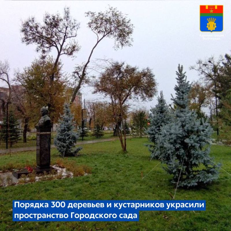 Около 300 деревьев и кустарников в текущем году высадили специалисты на территории Городского сада в Центральном районе Волгограда