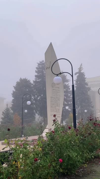 Туманное покрывало окутало город — посмотрите, как красиво!