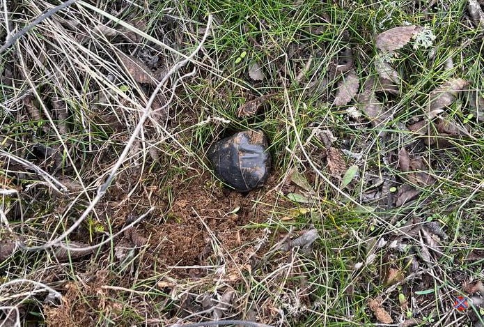 В Волгограде полицейские задержали иностранца, подозреваемого в незаконном обороте наркотических средств