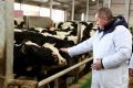 СП «Донское» — в топ-30 самых эффективных молочных хозяйств России